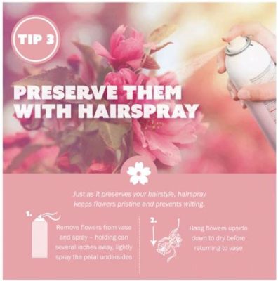 does hairspray preserve flowers? does it also have an impact on the environment?