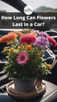 how long can flowers last in a car cold? why not explore the impact of temperature on different types of flowers?